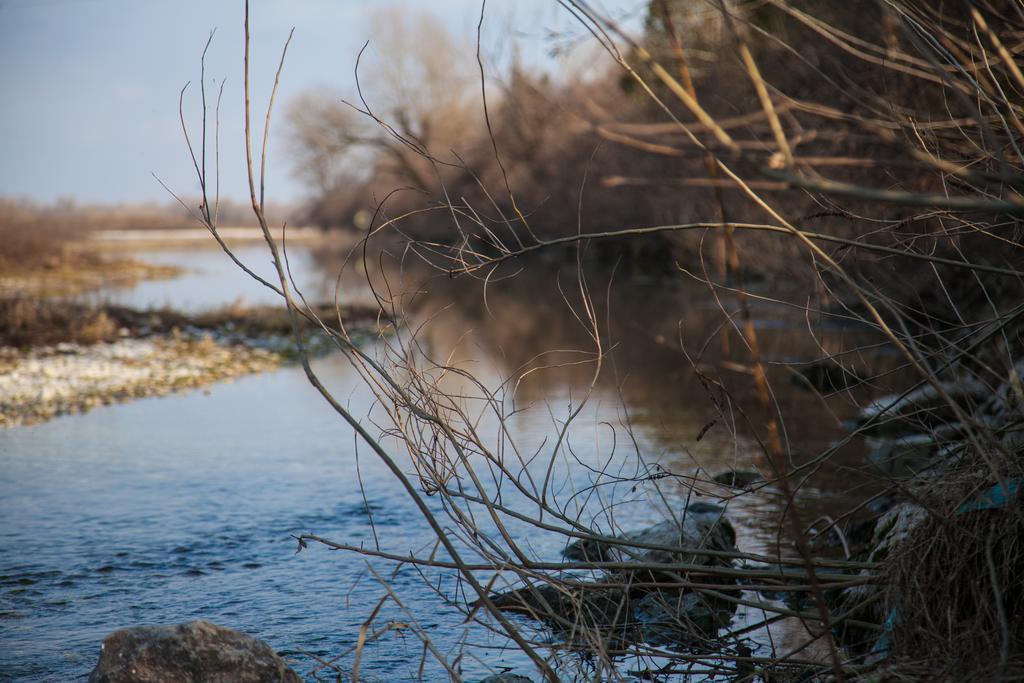 Al Glorioso Piave Ξενοδοχείο Maserada sul Piave Εξωτερικό φωτογραφία